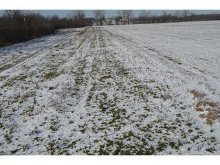 54.7 Acres with 50 tillable and 4.3 wooded.  Surrounded by heavy deer population on CRP land.  Great trophy deer hunting on established food plots.  Hunting tower.

Receive income on tillable acres while abundance of deer hunting on established food plot. - Great Investment Opportunity - Tillable Land, Recreation & Building Site